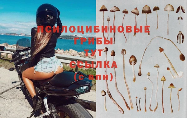 спиды Алексин