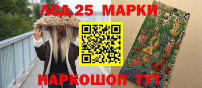 крисы Тверь