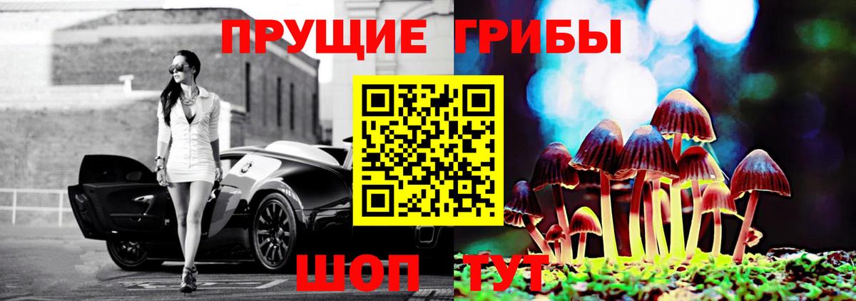 Галлюциногенные грибы Psilocybine cubensis Омск